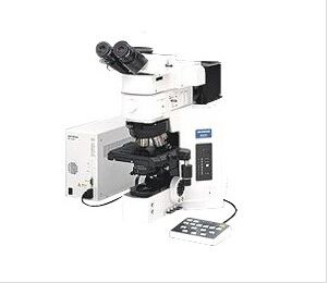 olympus BX61΢