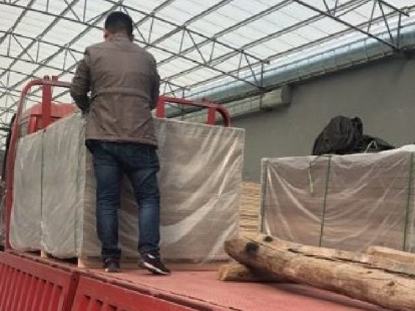 8mm������ �������峧��