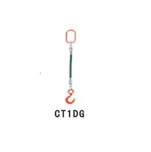 CT1DG
