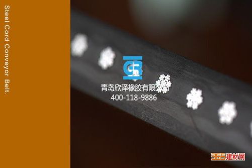 ˿оʹST2500