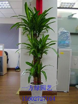 ֲ辰Ǯ