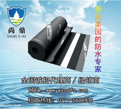 SD-106  PET߷ճˮ