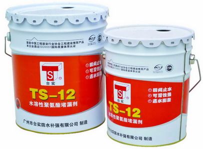 TS-12 ˮԾ۰©