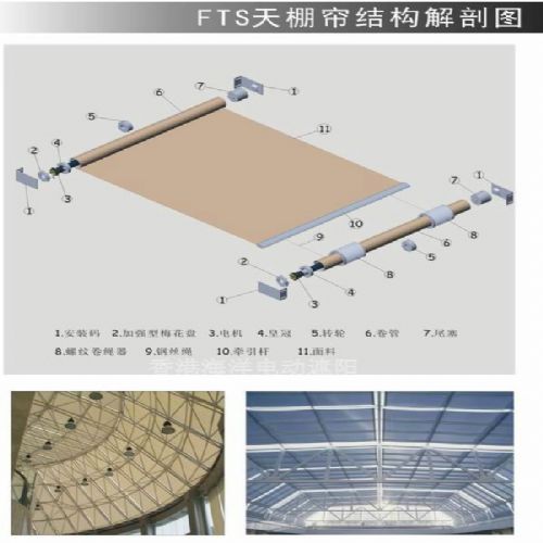 綯FTS