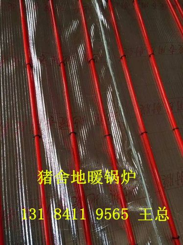 全自动控温猪舍取暖锅炉,猪舍锅炉低价