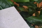 ˮά