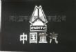斯太尔王挡泥皮