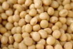 禾露大豆胶要与醛世界为敌
