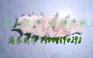 ֻ