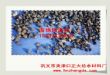 海绵铁滤料