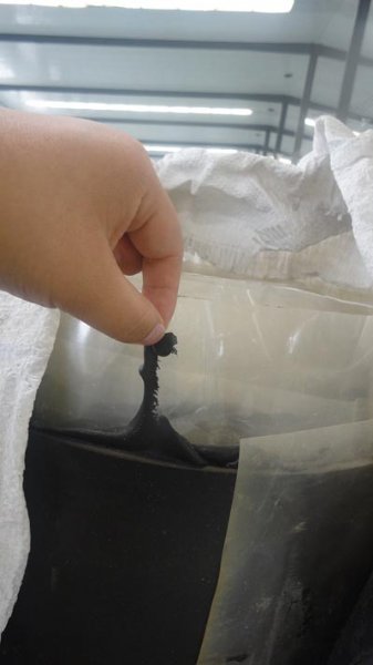 三元乙丙复合GB止水带