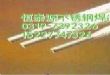 A312SLֺ