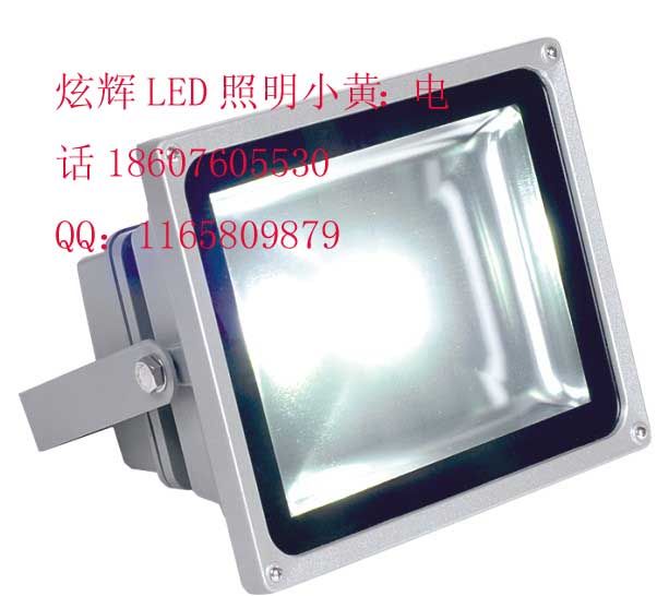 LEDͶ