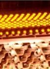 50LEDͶ