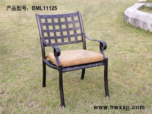 ţʿBML11125 ԰мҾ