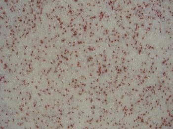 环氧彩砂树脂地坪