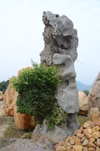 ͷ羰ʯ