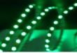 LEDԵƴ