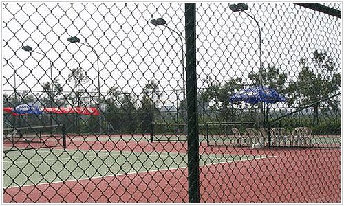 体育场围栏网