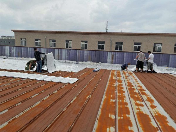 宁波老屋面修缮