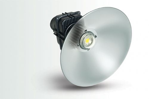 LEDʹ100W