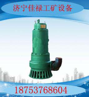 BQS-60-60/22/NǱˮ
