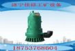 BQS-60-60/22/NǱˮ