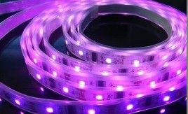 供应 5050 幻彩灯带