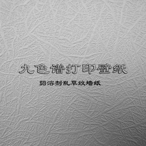 ܼҲƴӡǽֽjsp-01
