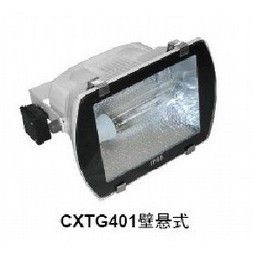 GXTG401 CXTG401һ廯Ͷ