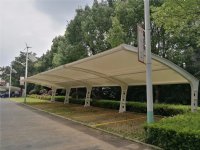 Ҷƾ ͣﶨ Ĥṹ Ĥṹ ͣ  Ĥṹ