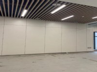 医用洁净板 阻燃环保