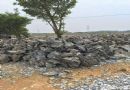 东胜市天然英德石假山石材