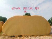 浙江观赏石校园校训石景石