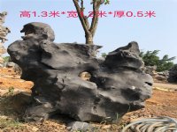 嘉兴园林园艺太湖石景观造景石