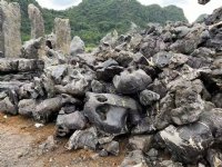 宁波花园别墅景观假山石设计