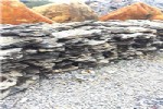 乌兰浩特市英石批发价格