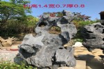 纳雍县批发大型太湖石景观石