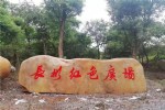 大型天然围边石头黄蜡石