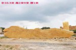 大型黄蜡石批发运往全国各地