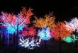 LED