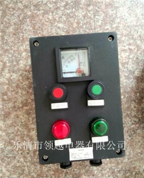 BZC8060-A2D2K1G��ʽ��������������