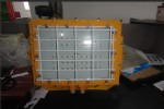 FGV1208-LED100W免维护节能防爆灯
