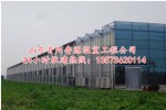 玻璃智能温室大棚工程建设厂家