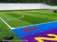 ̲ݵ׶԰ƺ ƺٲƺ̺ʩ