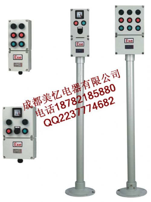 BZC51-A2D2GȼExdII