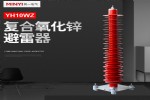 110KVHY10WZ-102/266ӵطʽ