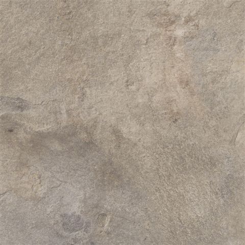 ذ