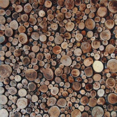 ʵľJH-S03