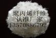 供应聚丙烯纤维